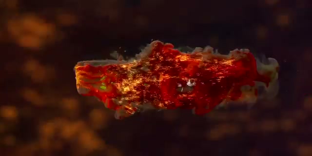 The two beautiful bone-in ribeyes side by side before the experiment begins