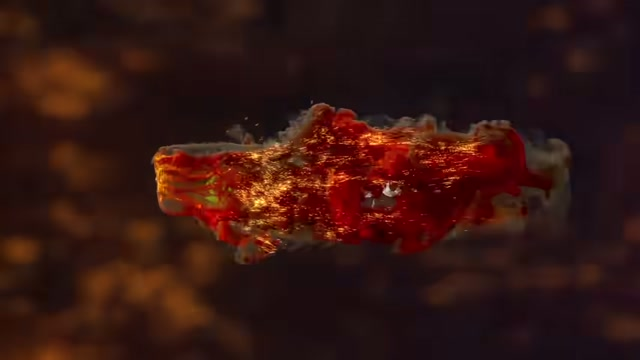 Guga introduces the hoisin steak experiment